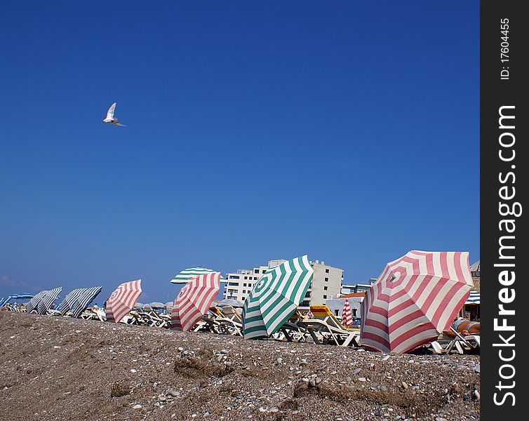 Parasols On The Beach