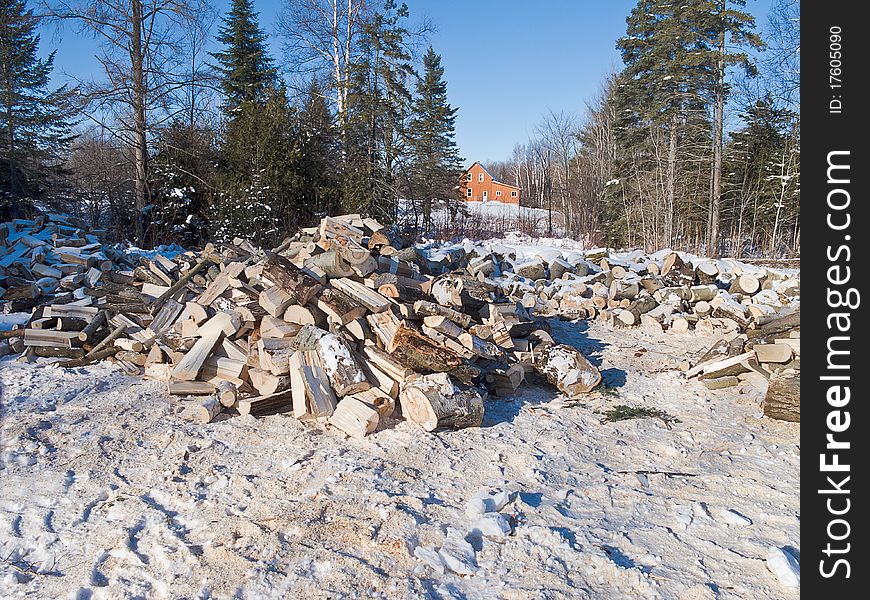 Woodland scene with pile of firewood in winter. Woodland scene with pile of firewood in winter