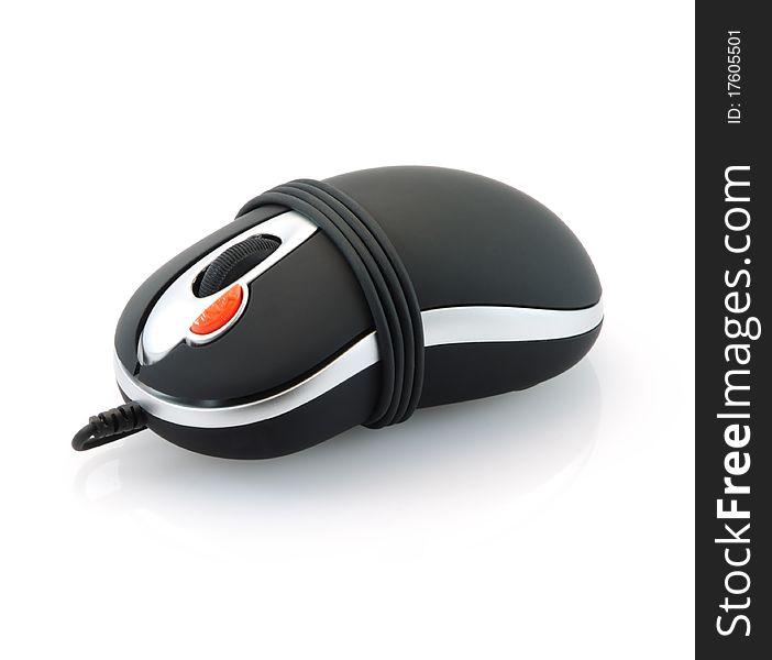 Computer Mouse