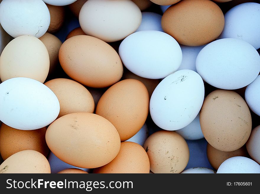 Eggs