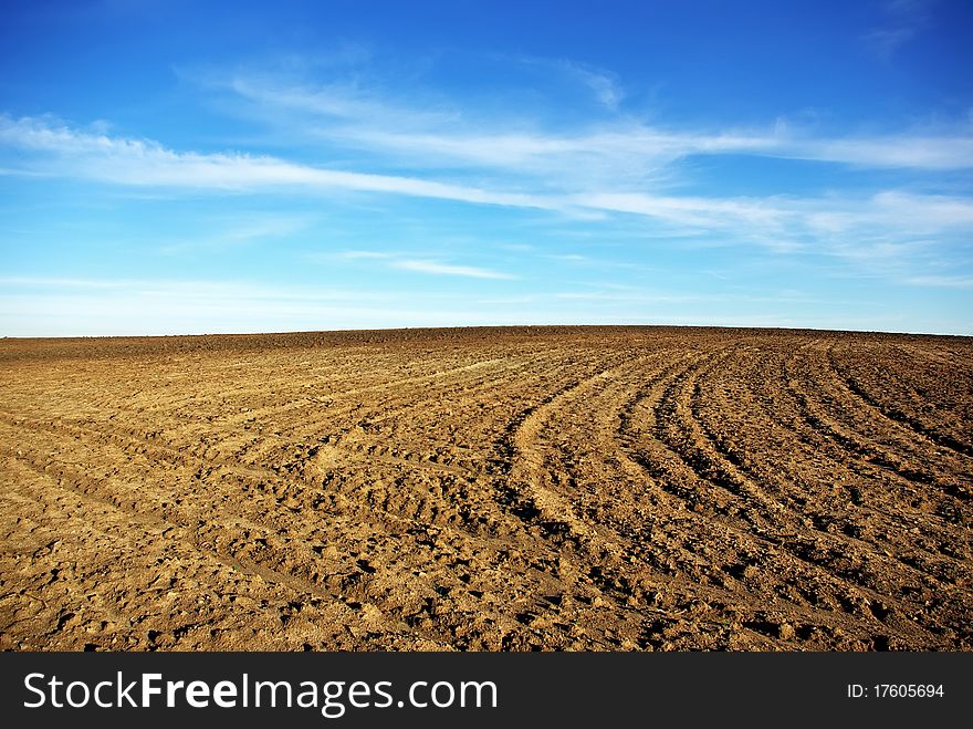 Texture of cultivated field and blue sky. Texture of cultivated field and blue sky.