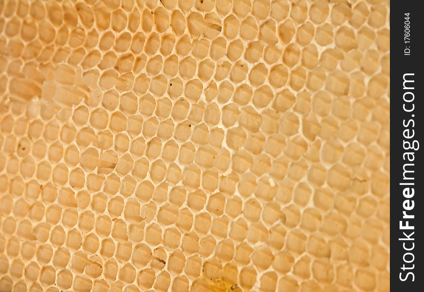 An oblique view of a honeycomb with shallow depth of field. An oblique view of a honeycomb with shallow depth of field.