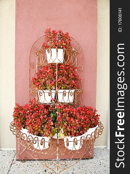 Red Begonias in an antique plant stand. Red Begonias in an antique plant stand