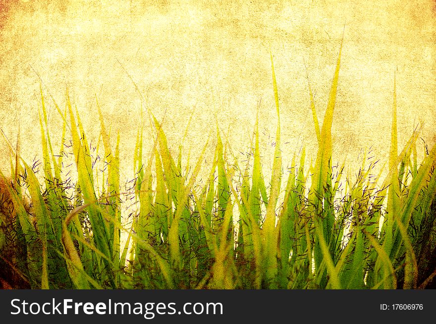 Vintage grass on a grunge background. Vintage grass on a grunge background