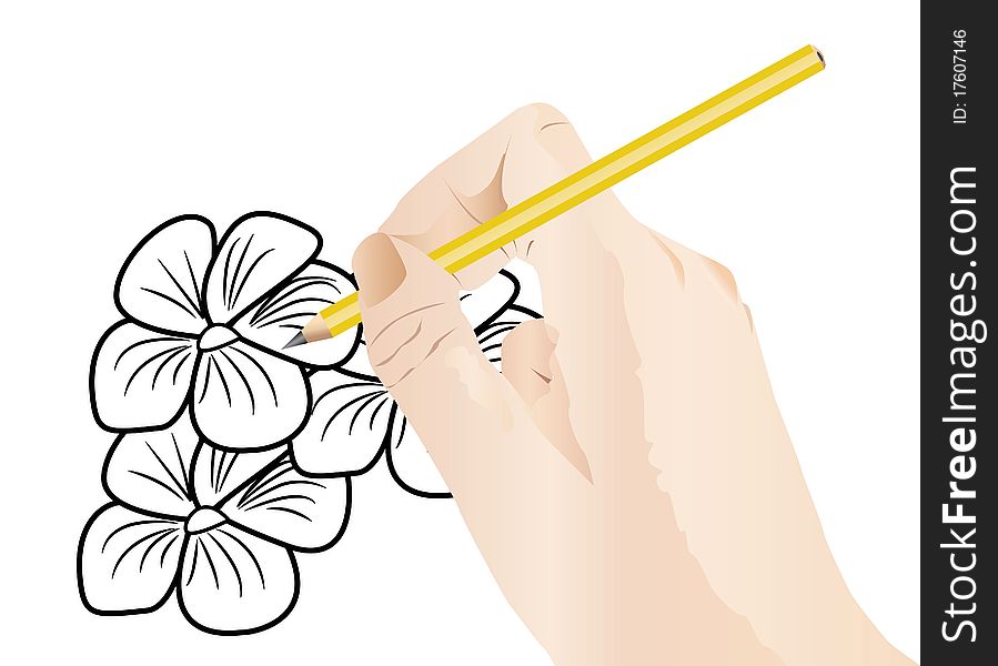 Hand drawing flowers isolated object