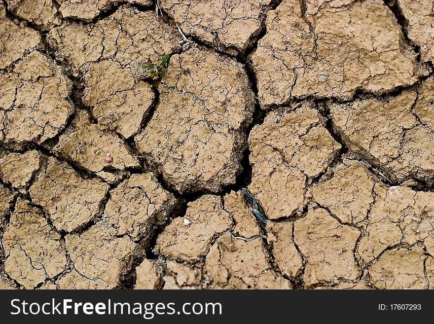 Dry cracked ground filling the frame as background