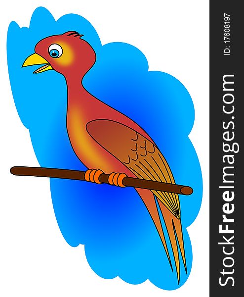 Bird parrot animal nature wildlife illustration color