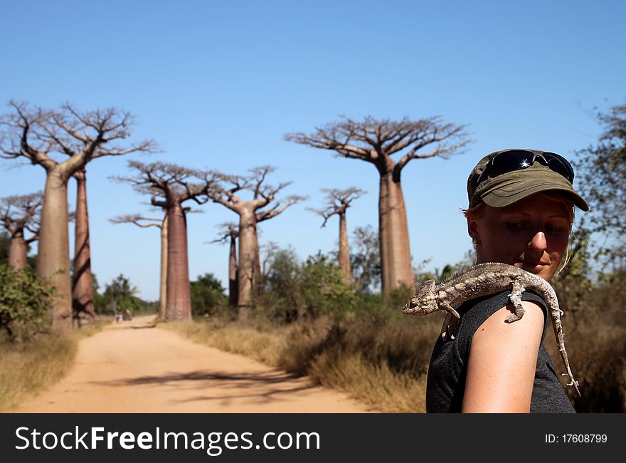 Girl and chameleon in the Avenida de Baobab in Madagascar