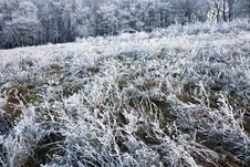 Winter Landscape Stock Images
