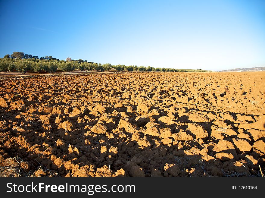 Fields at Archidona in Andalucia Spain. Fields at Archidona in Andalucia Spain