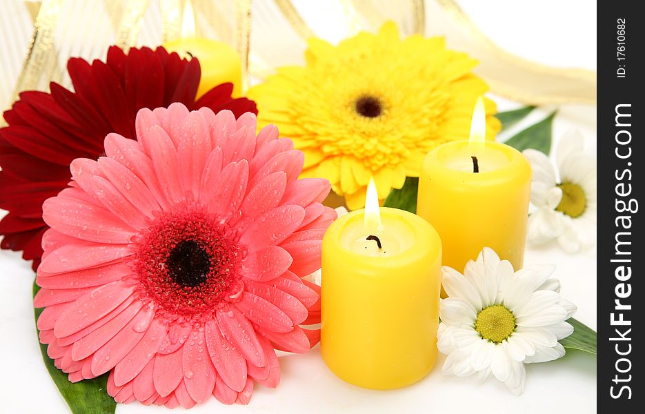 Flowers and candles on a white background