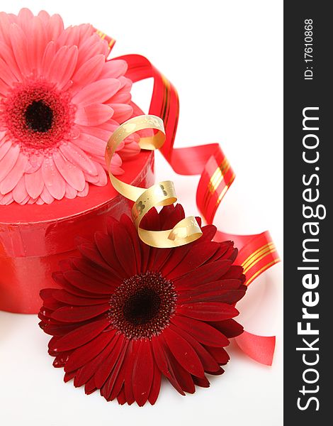 Gift and flower on a white background