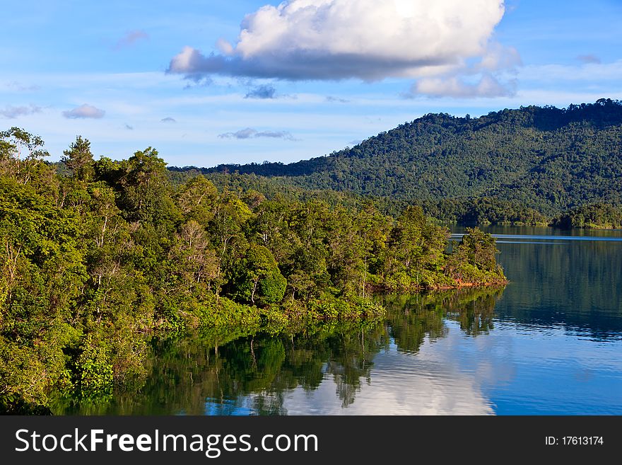 A river flowing through a tropical rainforest. A river flowing through a tropical rainforest