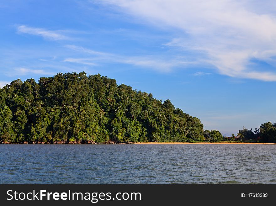 Tropical rainforest on the beach in Malaysia