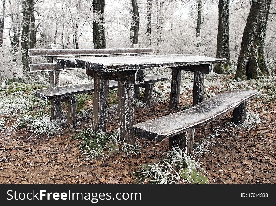 Frozen picnic table in forest