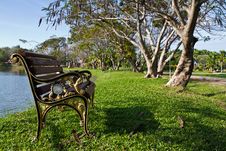 Bench In The Park Royalty Free Stock Images