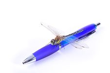 Dragonfly On A Blue Pen Stock Photography