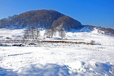 Top Mountain Covered By Snow Stock Images