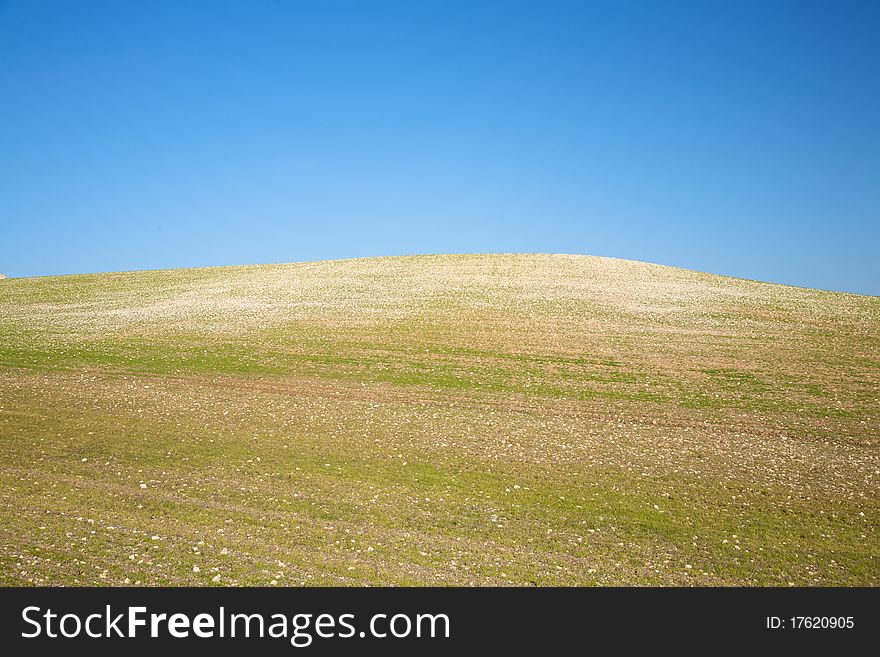 Field on a hill at the country in Spain. Field on a hill at the country in Spain