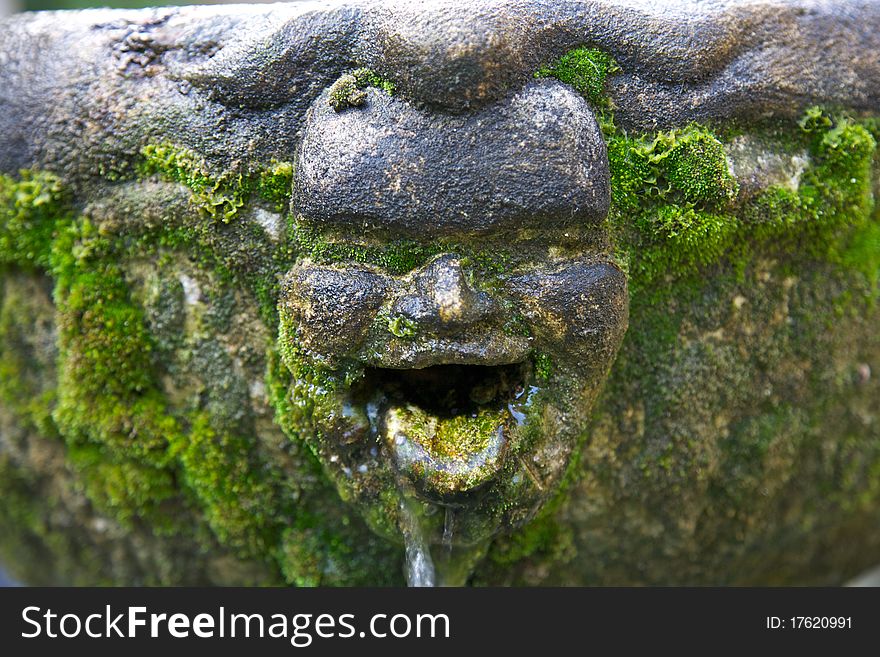 Smiling Face Of Moss Statue