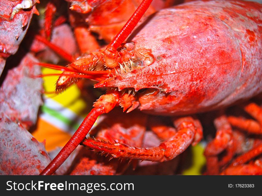 An up-close photo of a cooked bright red lobster. An up-close photo of a cooked bright red lobster.