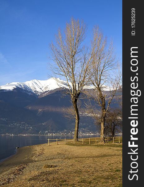 Lake with trees and grass on the banks