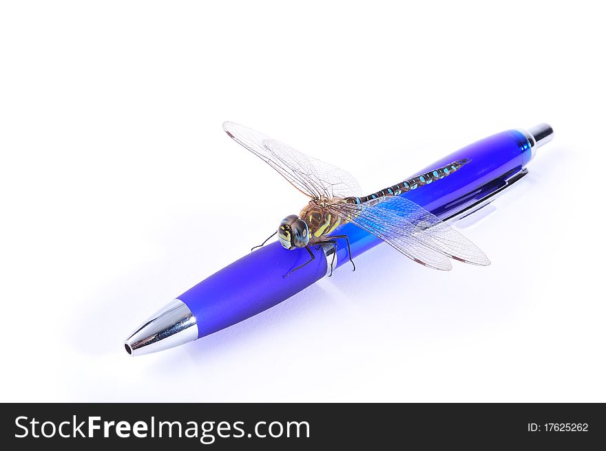 Dragonfly on a blue pen