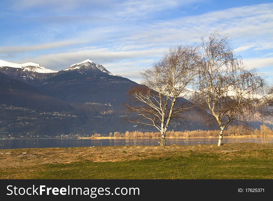 Lake with trees and grass on the banks