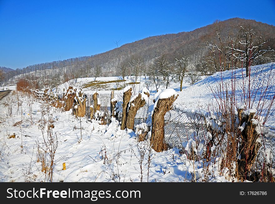 Convergent lines in winter landscape