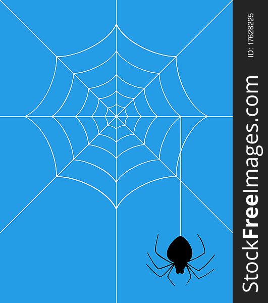 The spider weighs on a web. A illustration. The spider weighs on a web. A illustration