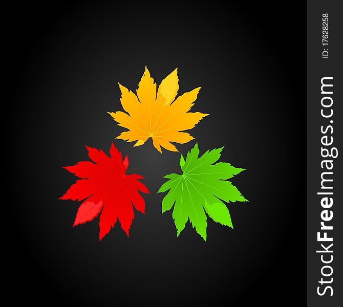 Three leafs of a tree on a black background. A illustration