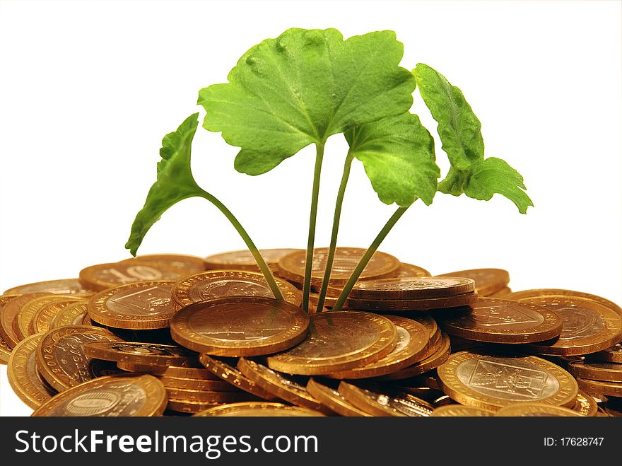 The young plant makes the way through a heap of coins on a white background