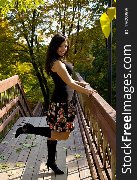 Young woman in the autumnal park. Young woman in the autumnal park