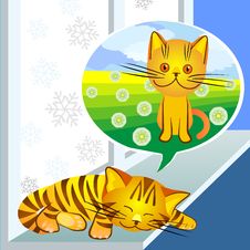 Vector Winter Dreams Ginger Cat Stock Photography Vector Winter Dreams Ginger Cat Stock Photography