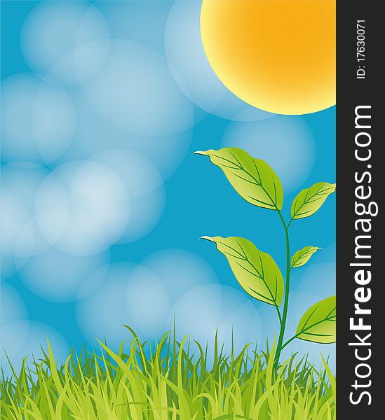Illustration of a green nature poster. Illustration of a green nature poster