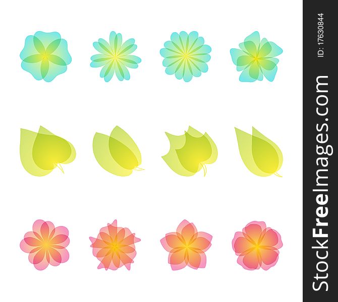 Set of floral design elements.