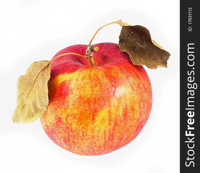 Mature red apple with dry leaves on white background. Mature red apple with dry leaves on white background