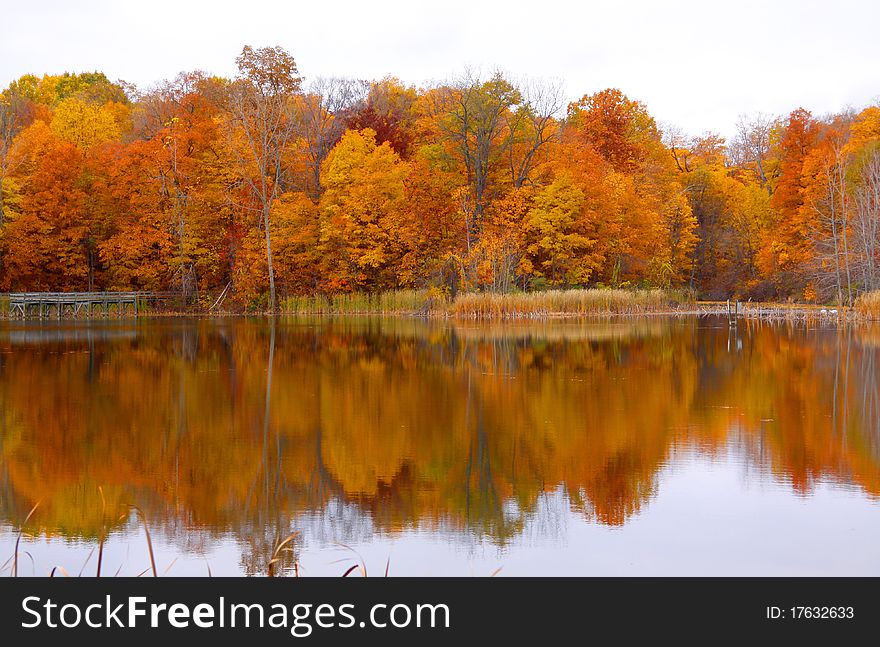 Bright colored autumn trees and reflections seen  in the lake. Bright colored autumn trees and reflections seen  in the lake
