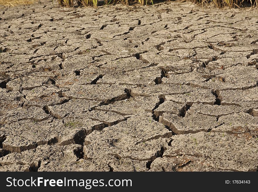 The drought in the field of in thailand