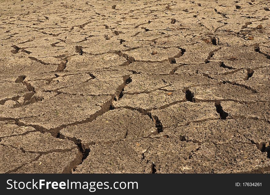 The drought is the impact of climate change. The drought is the impact of climate change.
