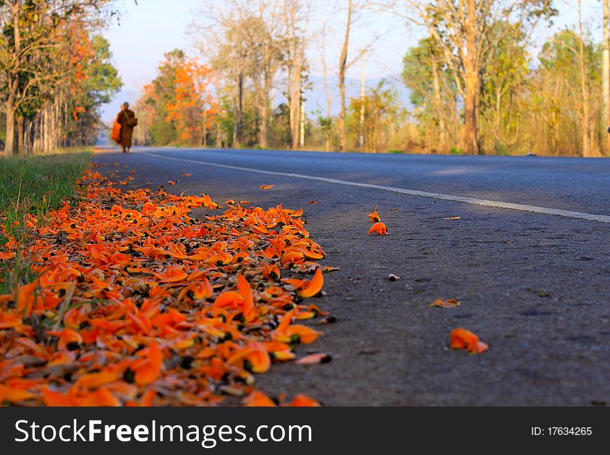 Flowers On The Road