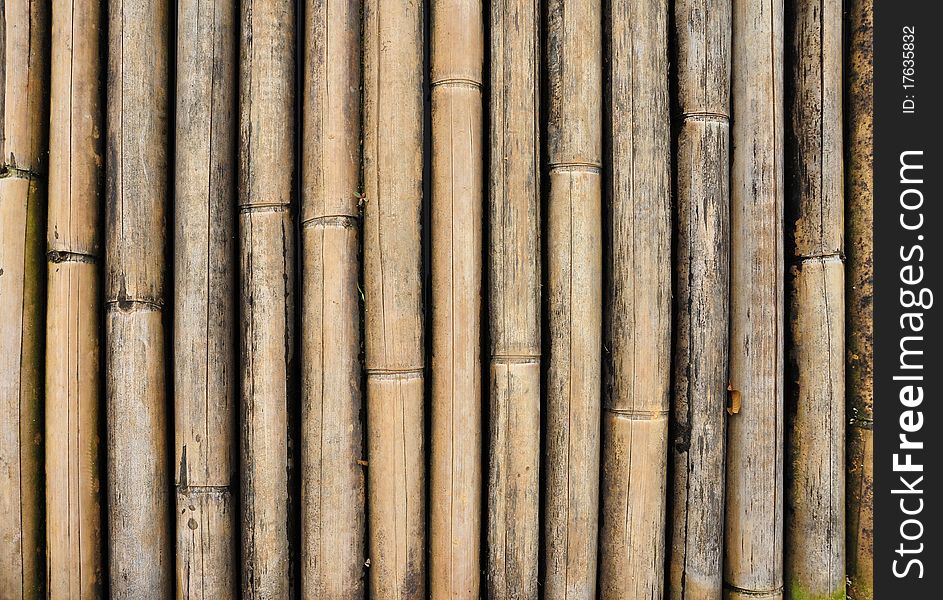 Bamboo texture