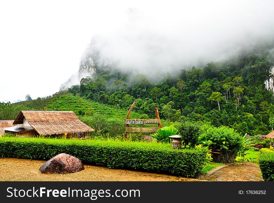 Nature At KhaoSok , Thailand