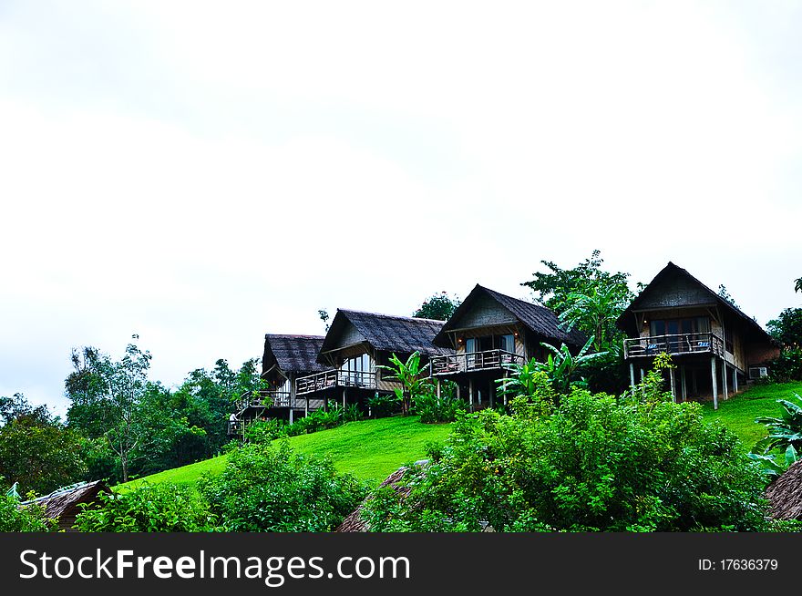 Nature at KhaoSok , Thailand