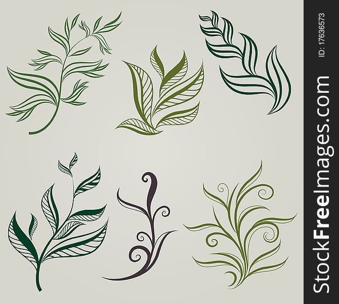 Vector Set Of Leafs Design Element