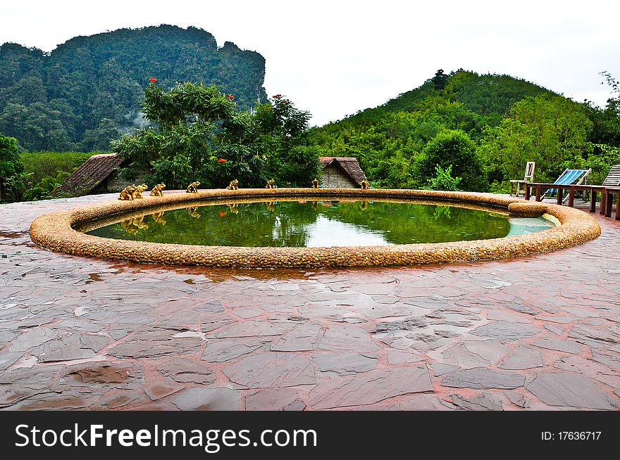 Nature At KhaoSok , Thailand