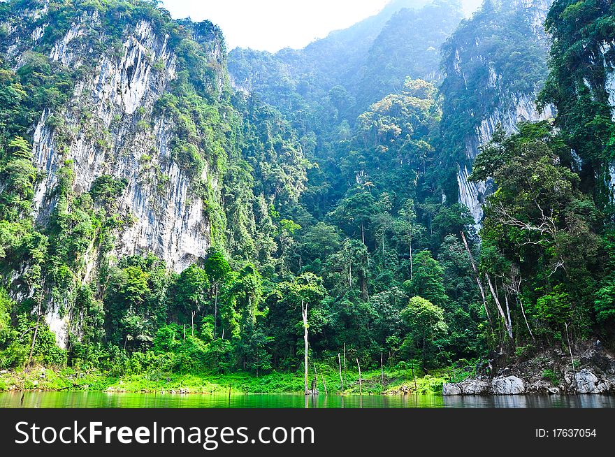 The Nature at KhaoSok , Thailand