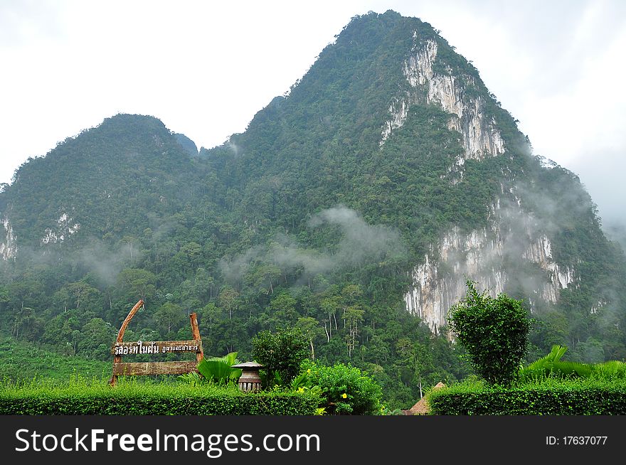 The Nature at KhaoSok , Thailand