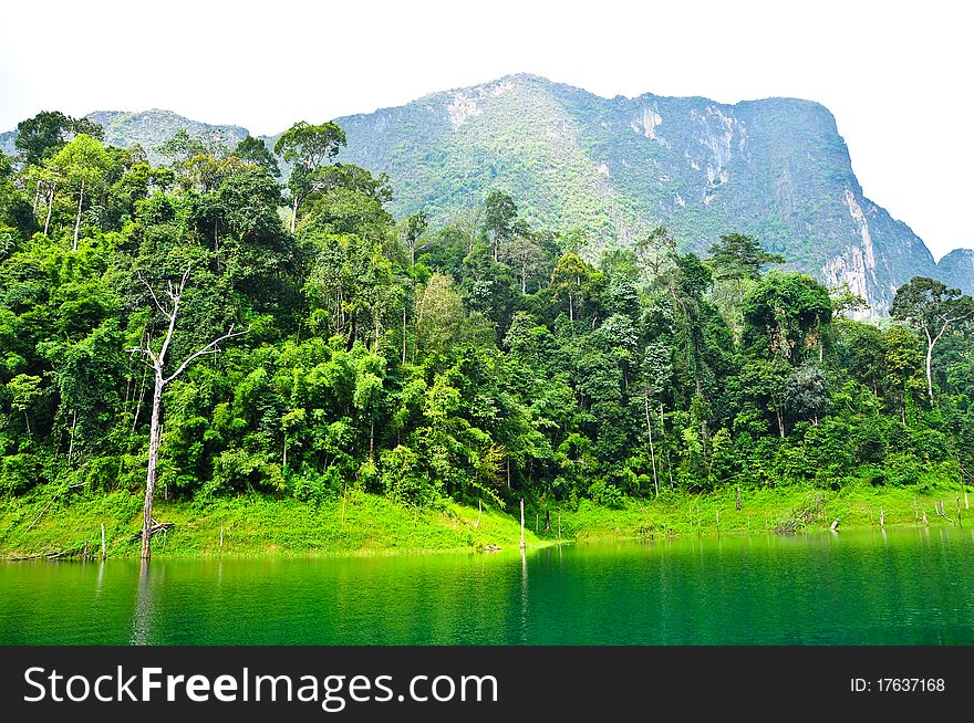 Nature At KhaoSok , Thailand