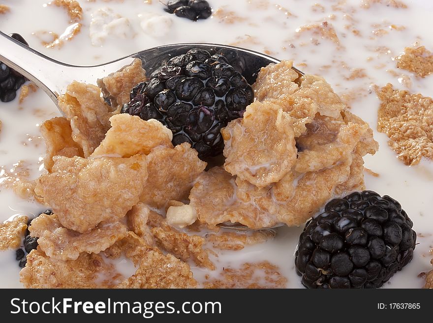 Light morning meal from cereals with berries of a blackberry and milk, in a coffee cup. Light morning meal from cereals with berries of a blackberry and milk, in a coffee cup.